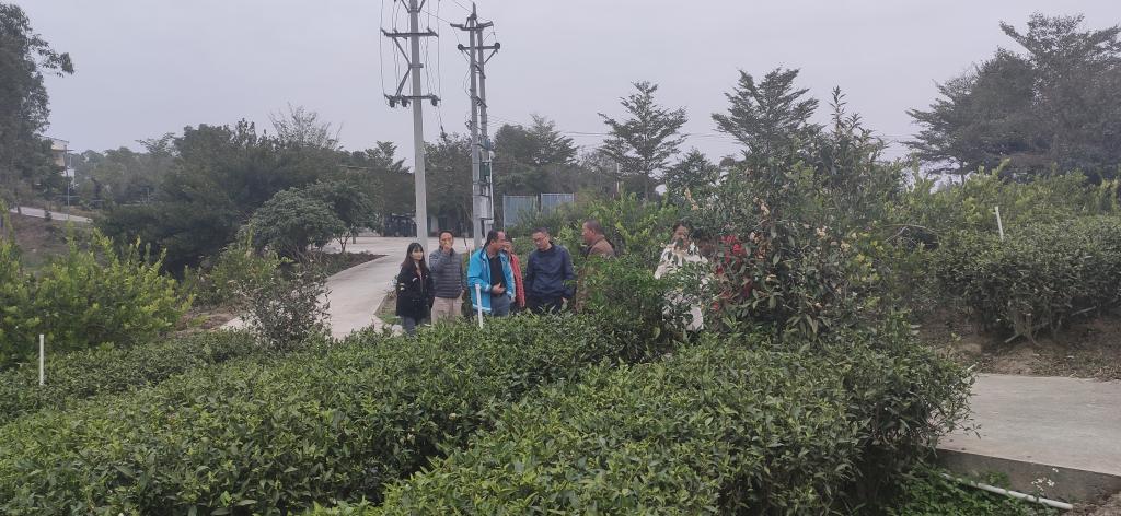 william威廉中文官网